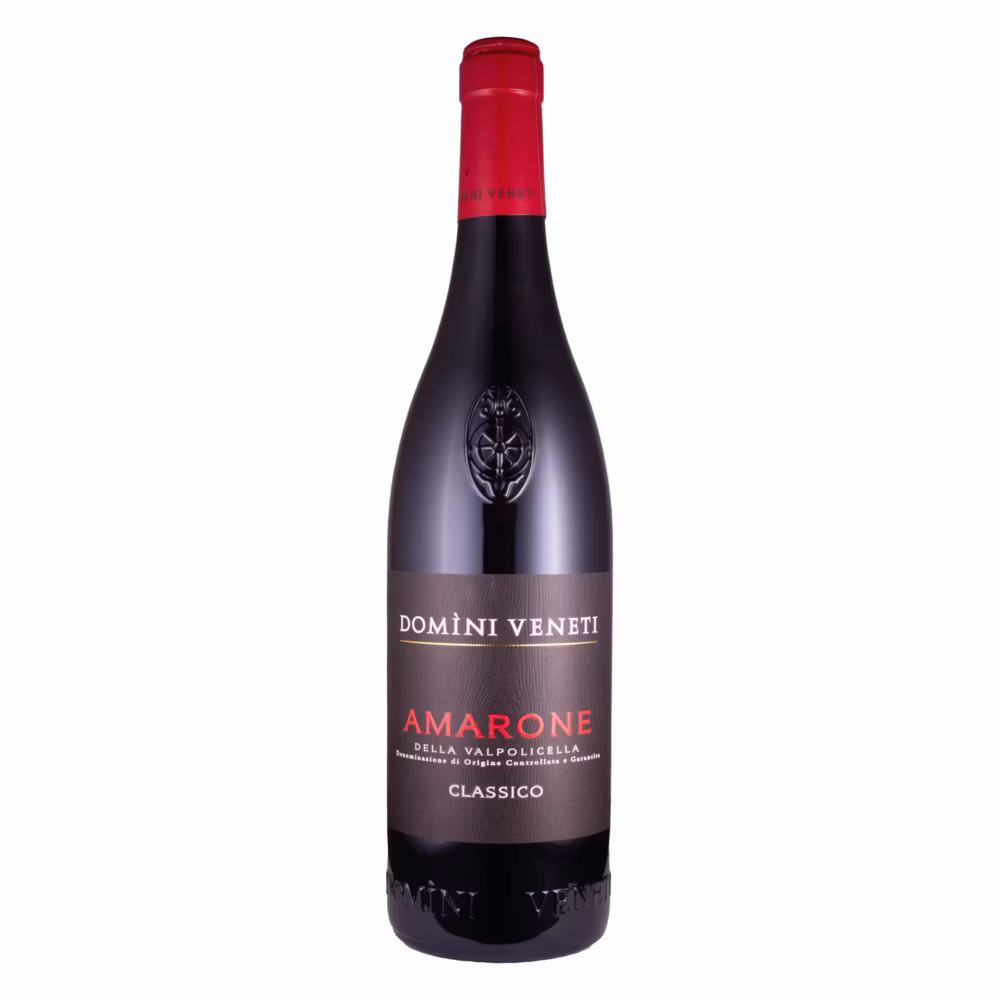 Amarone della Valpolicella, 2021 Domini Veneti
